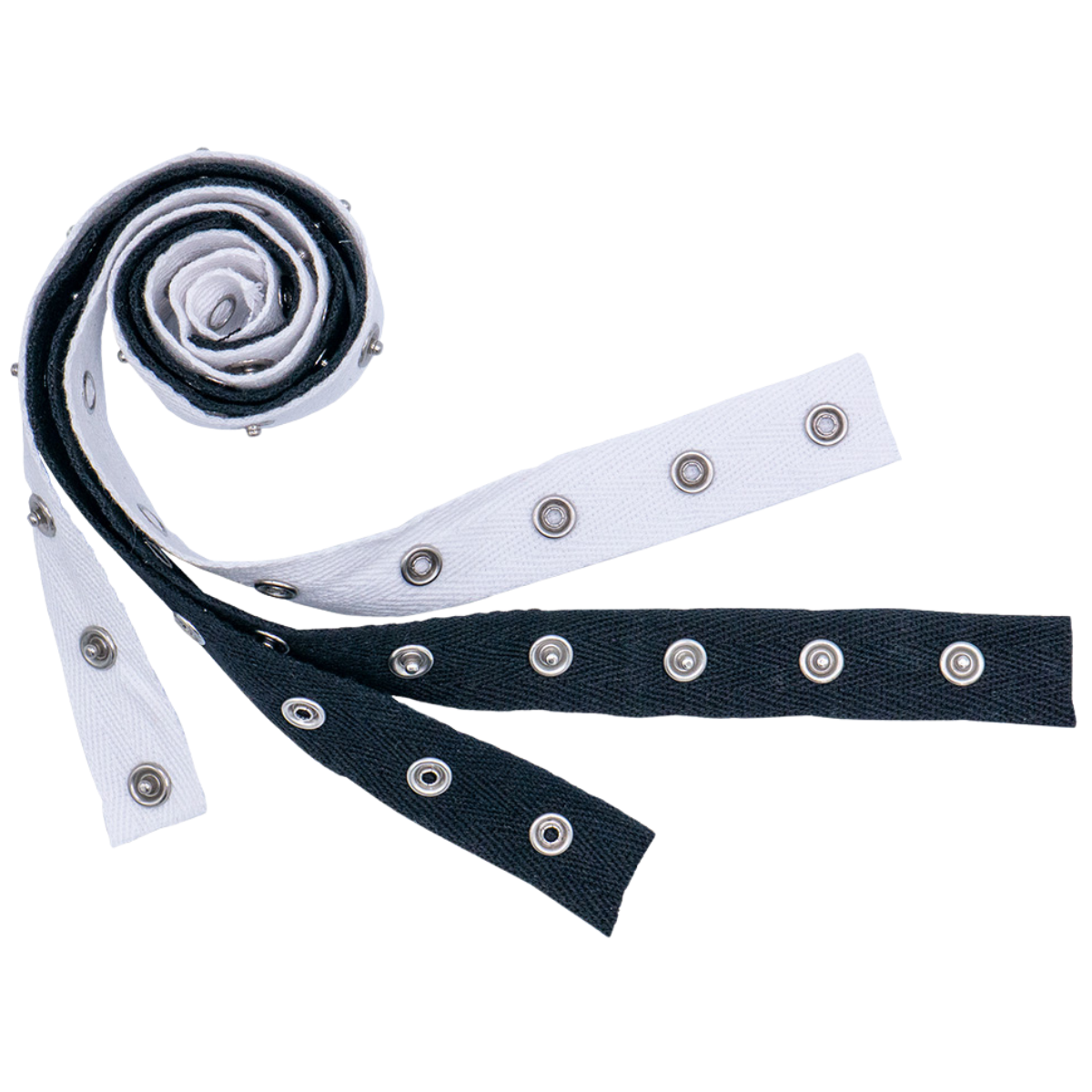 SnapTape1.png
